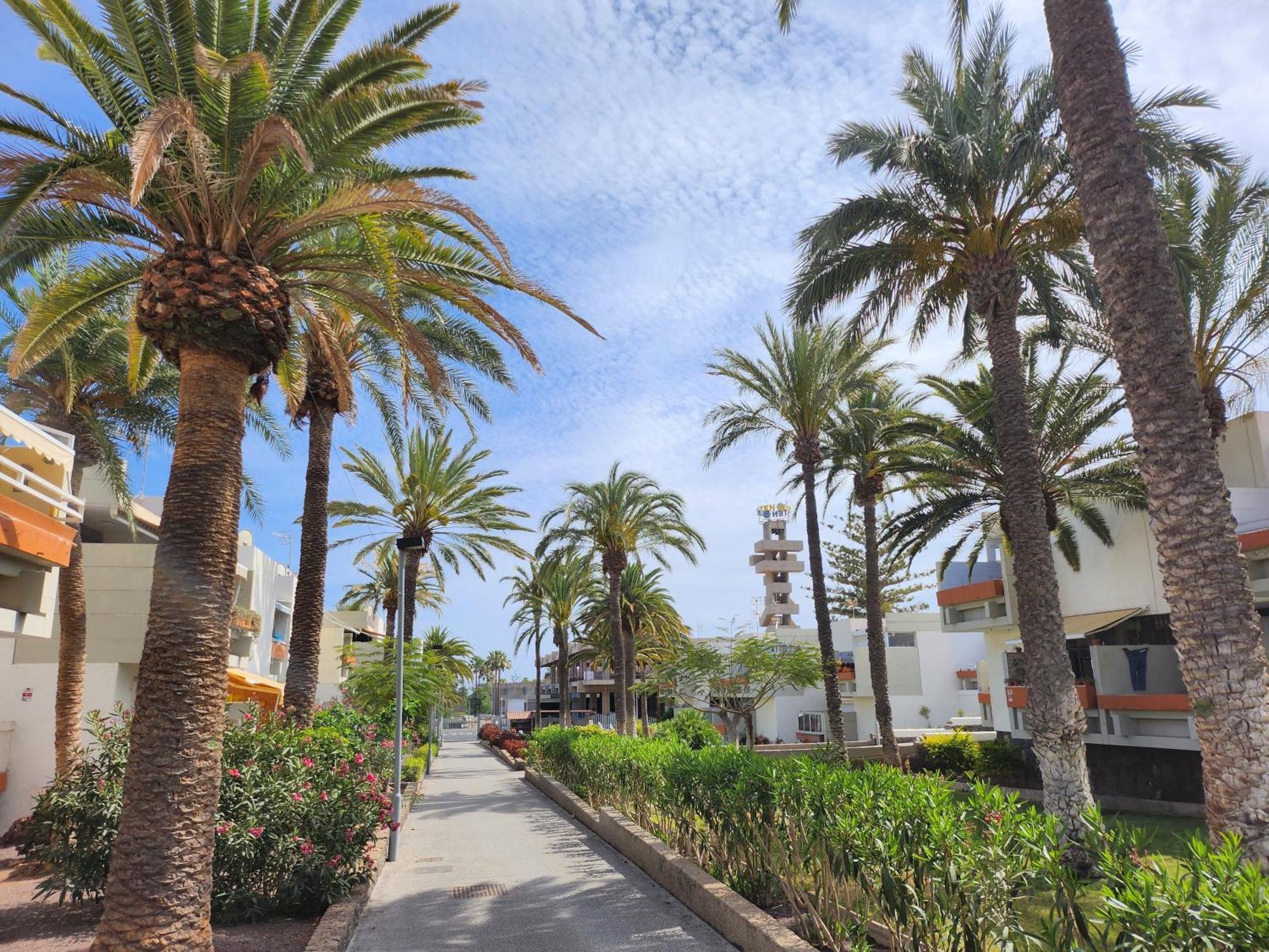 Tenerife Sunshine South Apartment Beach By La Ballena 阿罗纳 外观 照片