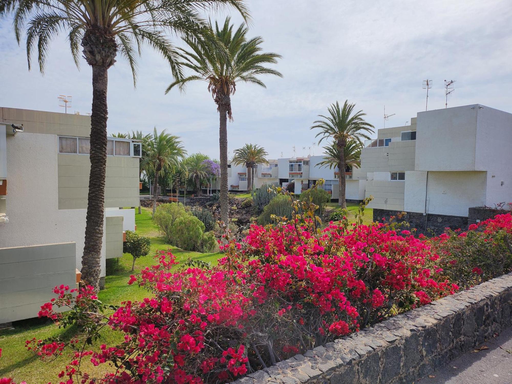 Tenerife Sunshine South Apartment Beach By La Ballena 阿罗纳 外观 照片